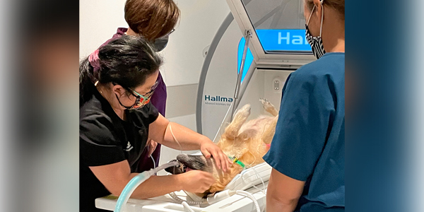 Patient care enhanced in Hawaii via MRI