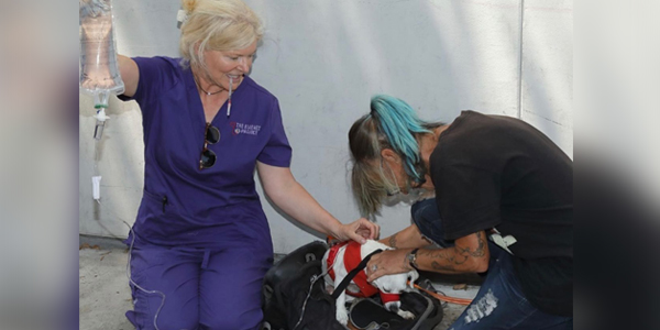 Free veterinary care program expands to seven states Free veterinary care program expands to seven states
