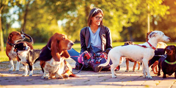 Why do veterinary professionals feel the need to take on side gigs?