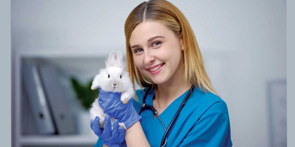 A healthy team is best for patient care