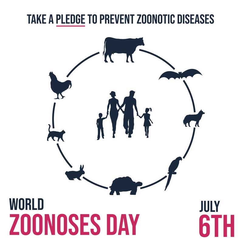 Identifying and assessing large animal zoonoses