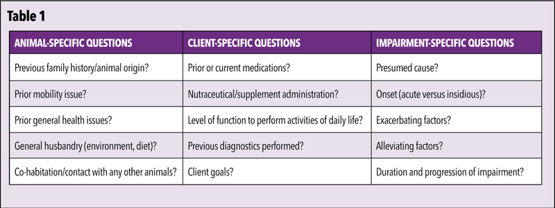 A list of relevant questions when obtaining a thorough history for ZCA patients with a mobility impairment.