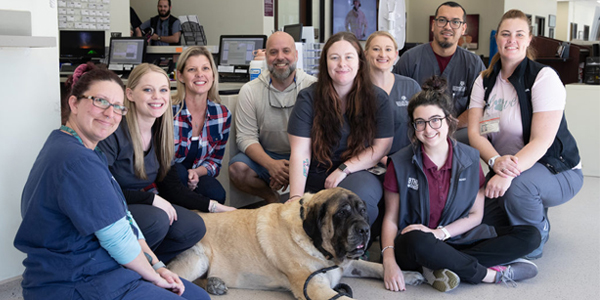 ‘Cancer Bell’ gets inaugural ring at Texas A&M
