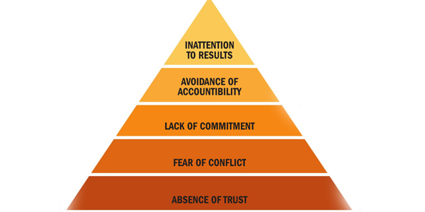 Five functions of a purpose-driven team
