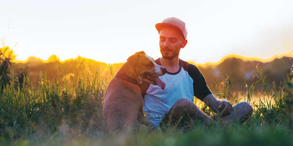 The human-animal bond is all around us