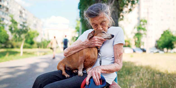 Using DNA to better calculate a dog’s age
