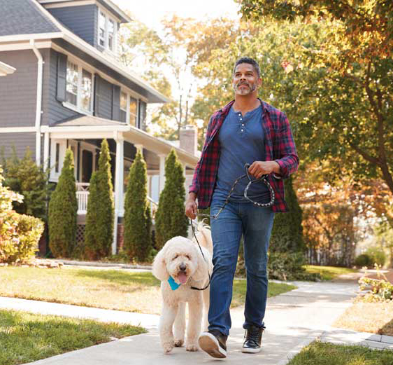 Walking a dog does not need to be strenuous. Simply getting outside and moving helps both dogs and people stay healthier. Photo ©iStock / Getty Images Plus/monkeybusinessimages/904482462
