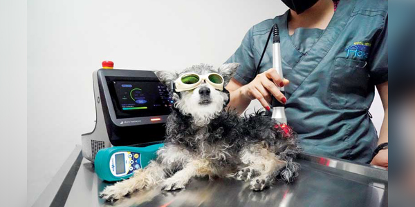 Selecting the right laser for the job