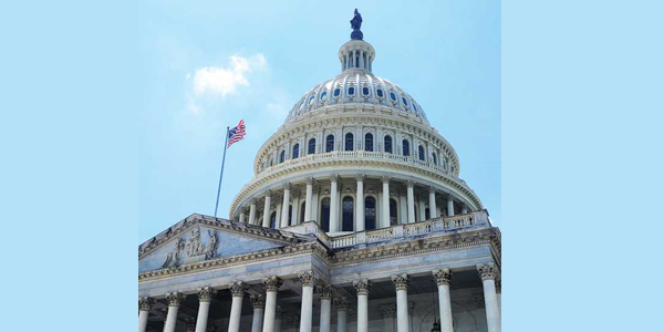 An update on AVMA federal advocacy