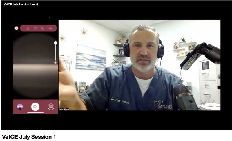 Canine Otitis Externa—Proper Work Up For This “Ear-Y” Occurrence