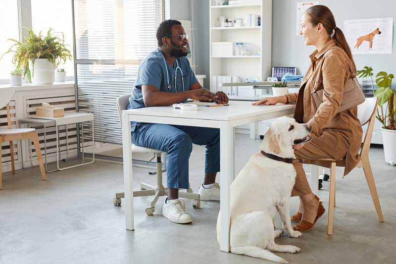 Veterinary medicine is losing its personal touch 