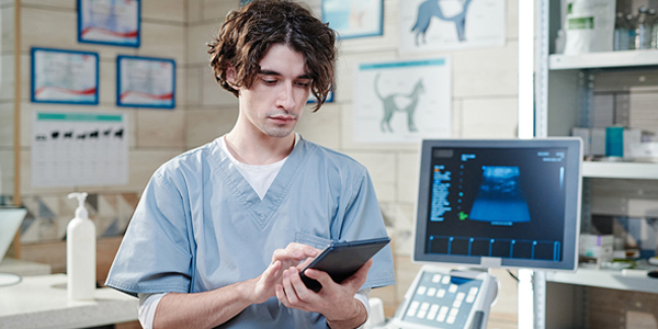 Telehealth coalition aims to enhance veterinary care