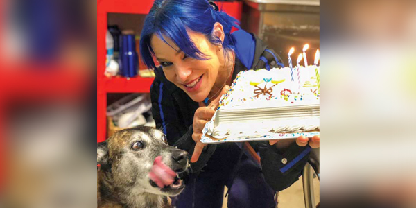 New tricks for an old dog’s vet owner