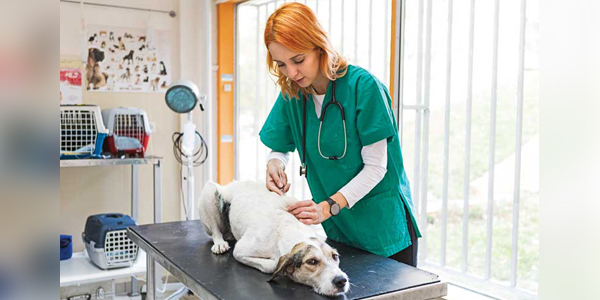 Seven strategies to improve vaccine compliance