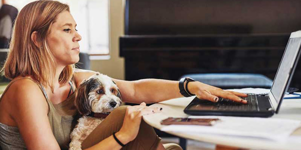 How to talk to clients about pet insurance