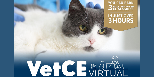 Pain management focus of upcoming VetCE Virtual event