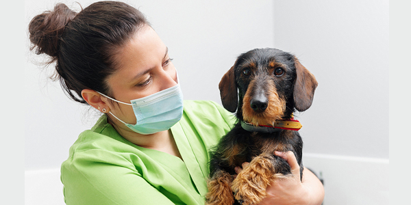 Urgent care hospitals expand access to veterinary care
