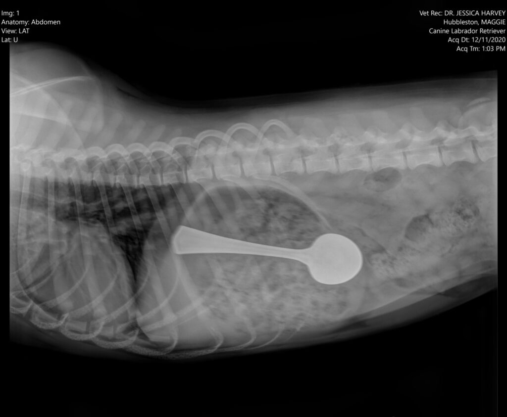 Honorable Mention: DO YOU LIKE TO SPOON?