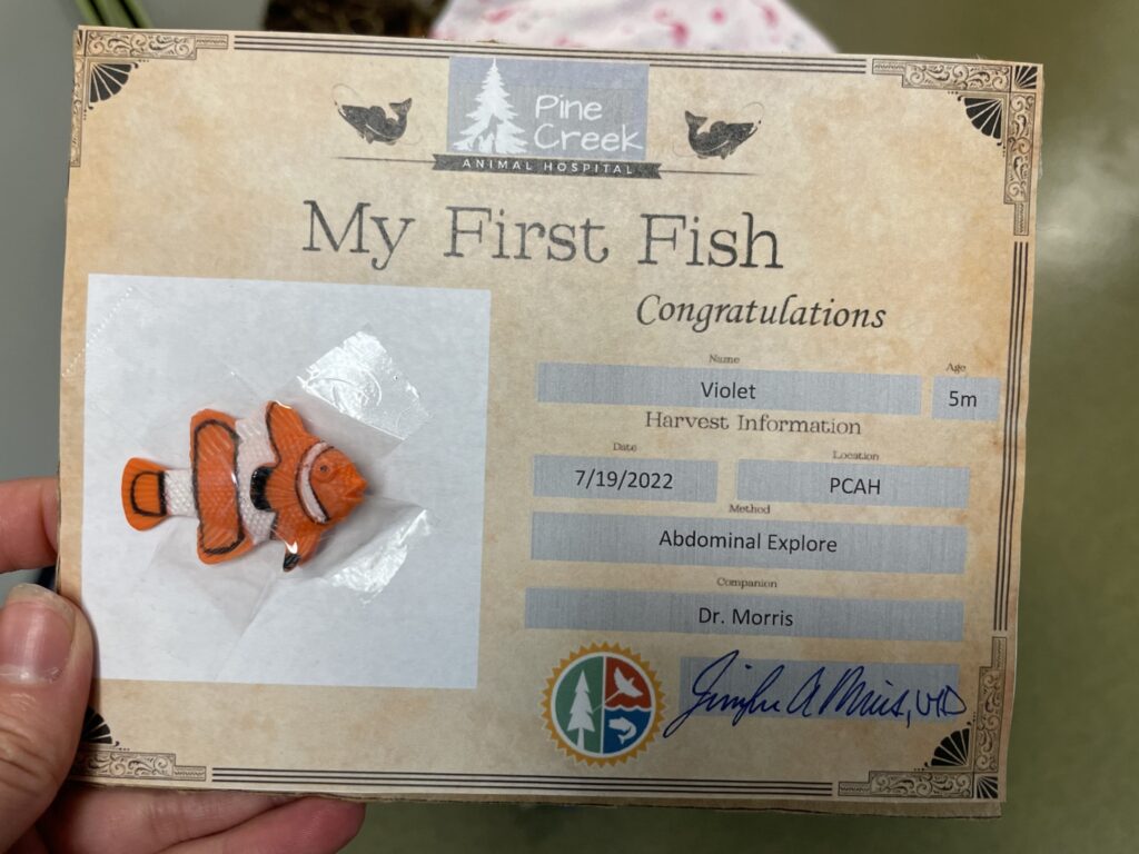 Honorable Mention: FINDING NEMO