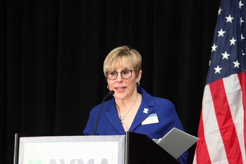 Meet new AVMA president, ‘Mama Bear’ Lori Teller