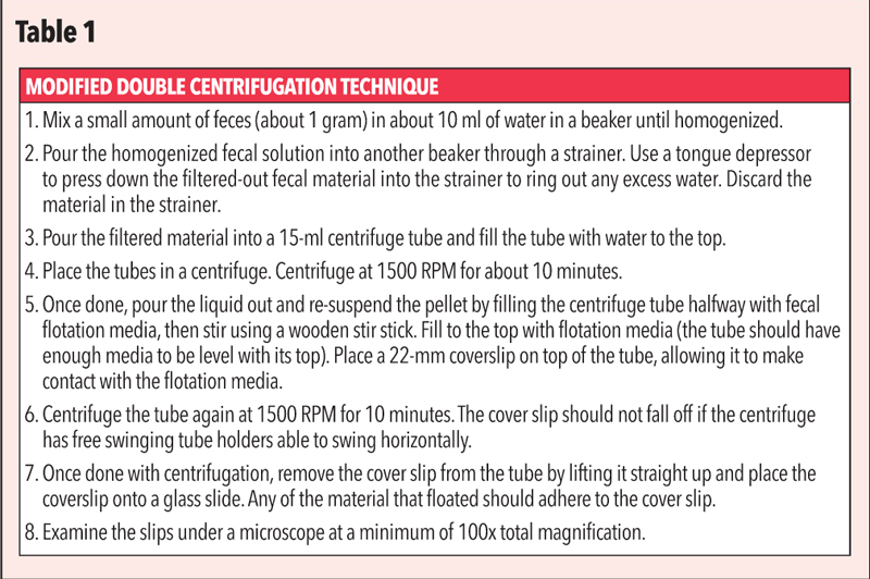 Outline of the modified double centrifugal flotation procedure. Incorporation of centrifugation into the standard fecal flotation method has been shown to improve overall detection of parasites.