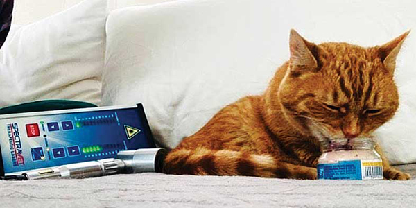 Exploring alternatives to scruffing cats