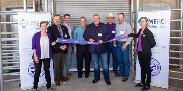 Patient safety, access to care central to livestock center renovation
