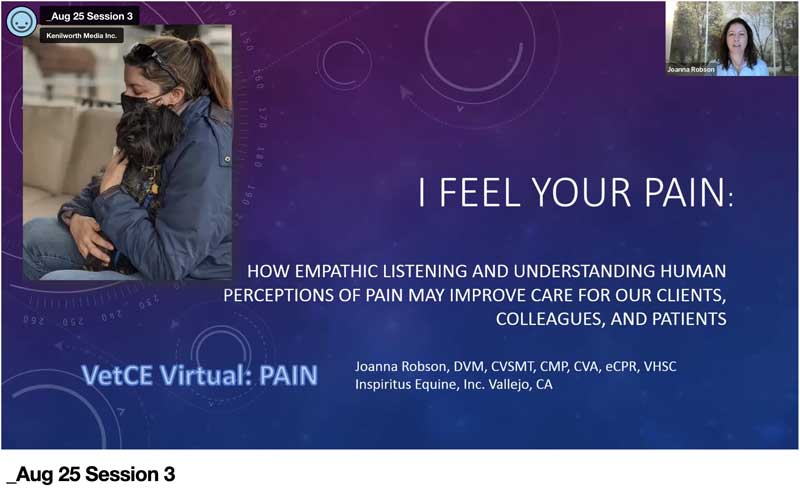 I Feel Your Pain: How Empathic Communication and the Human Perception of Pain Influences Our Animal Patients