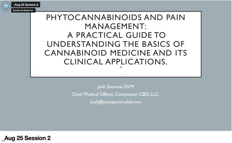 Phytocannabinoids and Pain Management: A Practical Guide to Understanding the Basics of Cannabinoid Medicine and its Clinical Applications