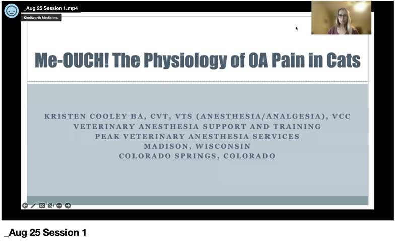 Me-OUCH! The Physiology of Osteoarthritis in Cats