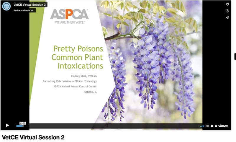 Pretty Poisons: Common Plant Intoxications
