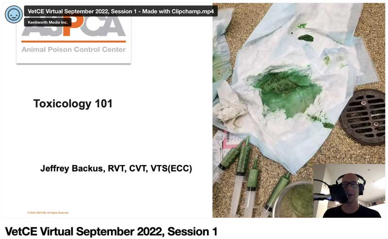 Toxicology 101