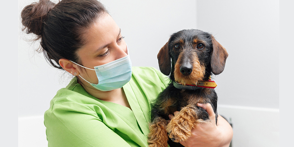 Vet Tech Week honors resilience of essential team members