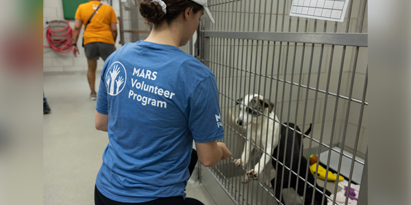 Animal advocates urged to help in ending shelter crisis