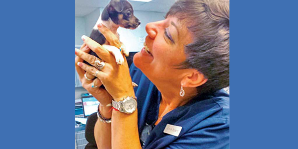 How a vet tech found her niche in dentistry