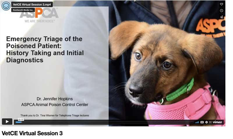 Emergency Triage of the Poisoned Patient: History Taking and Initial Diagnostics