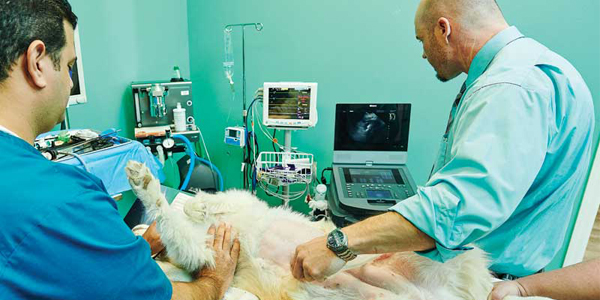 Elevating patient care with in-house equipment