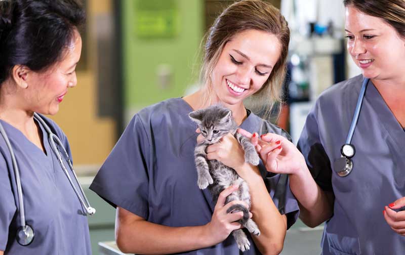 Offer career growth within your practice to attract top talent and aid in staff retention. Photo courtesy Kali9/E+/Getty Images
