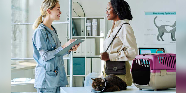 Gain employee trust in your practice by fostering good client behavior