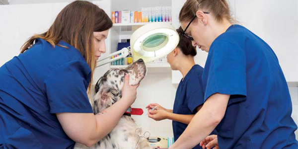 Technician tips for critical care patients