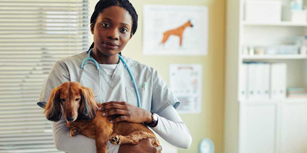 Implementing consensual touch for better patient care