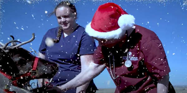 Santa Claus’ official veterinarian OKs reindeer for flight