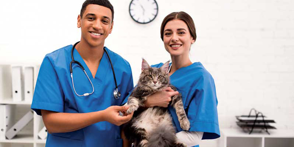 Protecting the future of veterinary medicine
