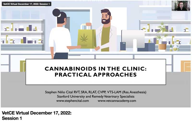 Cannabinoids in the Clinic: Practical Approaches