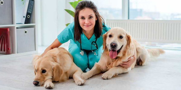 Practicing antimicrobial stewardship