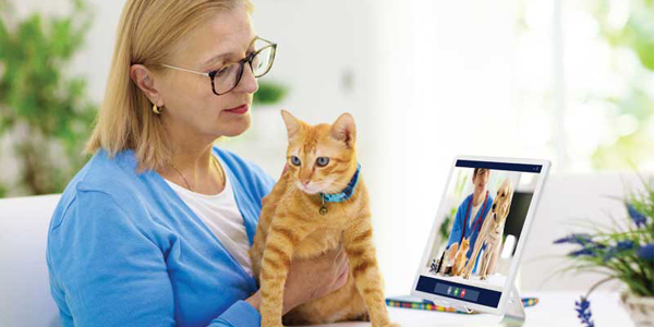 What’s next for veterinary medicine?