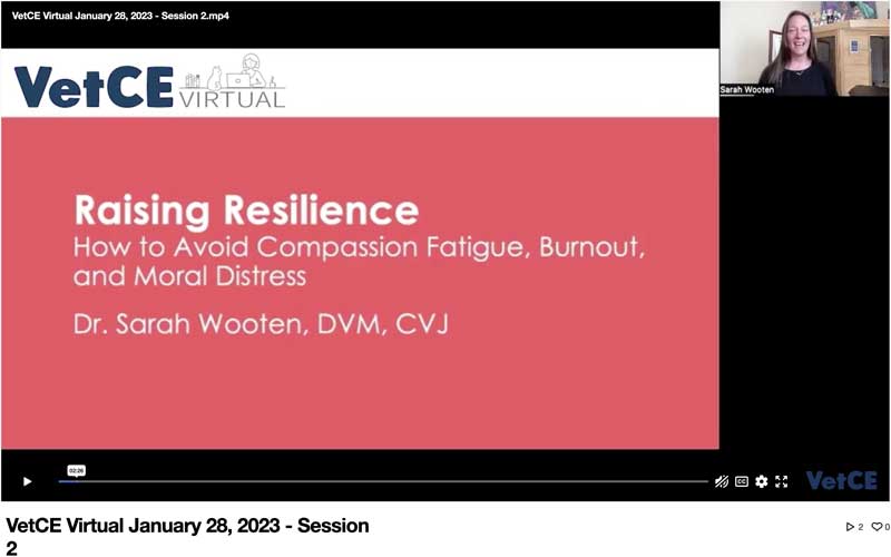 Raising Resilience: How to Avoid Compassion Fatigue, Burnout, and Moral Distress