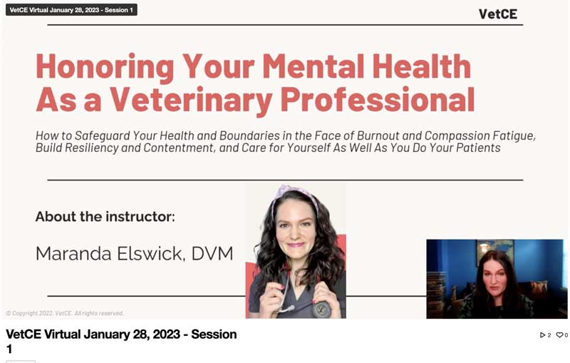 Honoring Your Mental Health as a Veterinary Professional