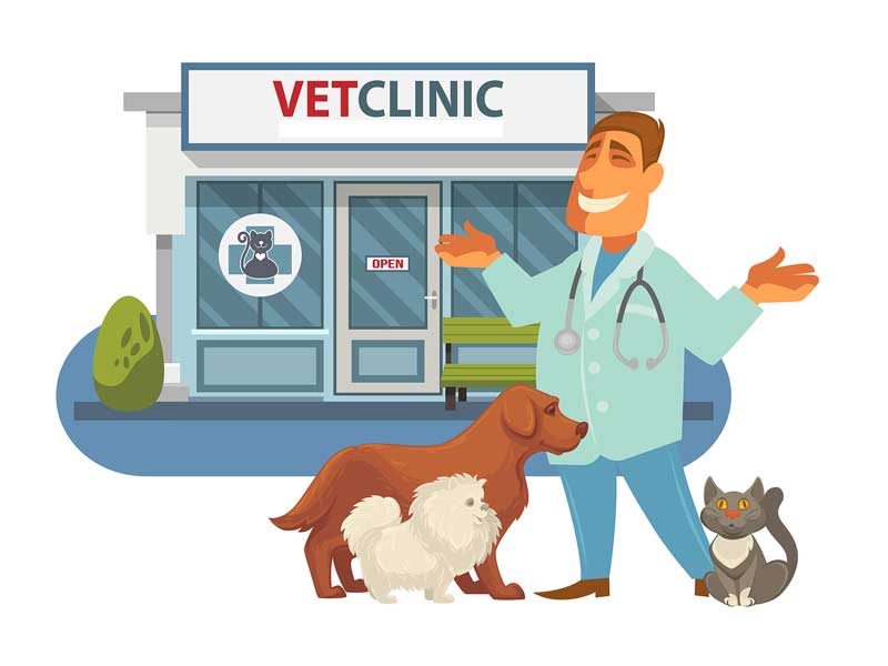 ‘Radical transparency’ in vet med: embracing a new era of closeness with clients