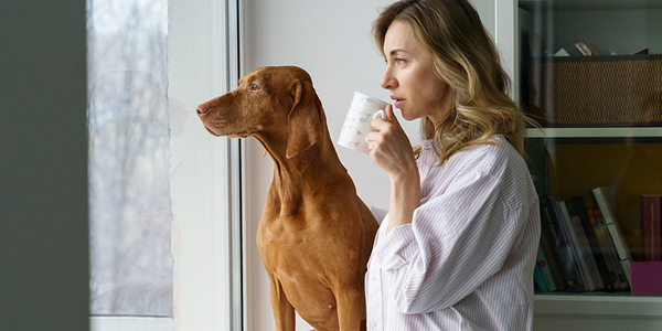 $2.25M pledge keeps owners, pets together amidst domestic violence